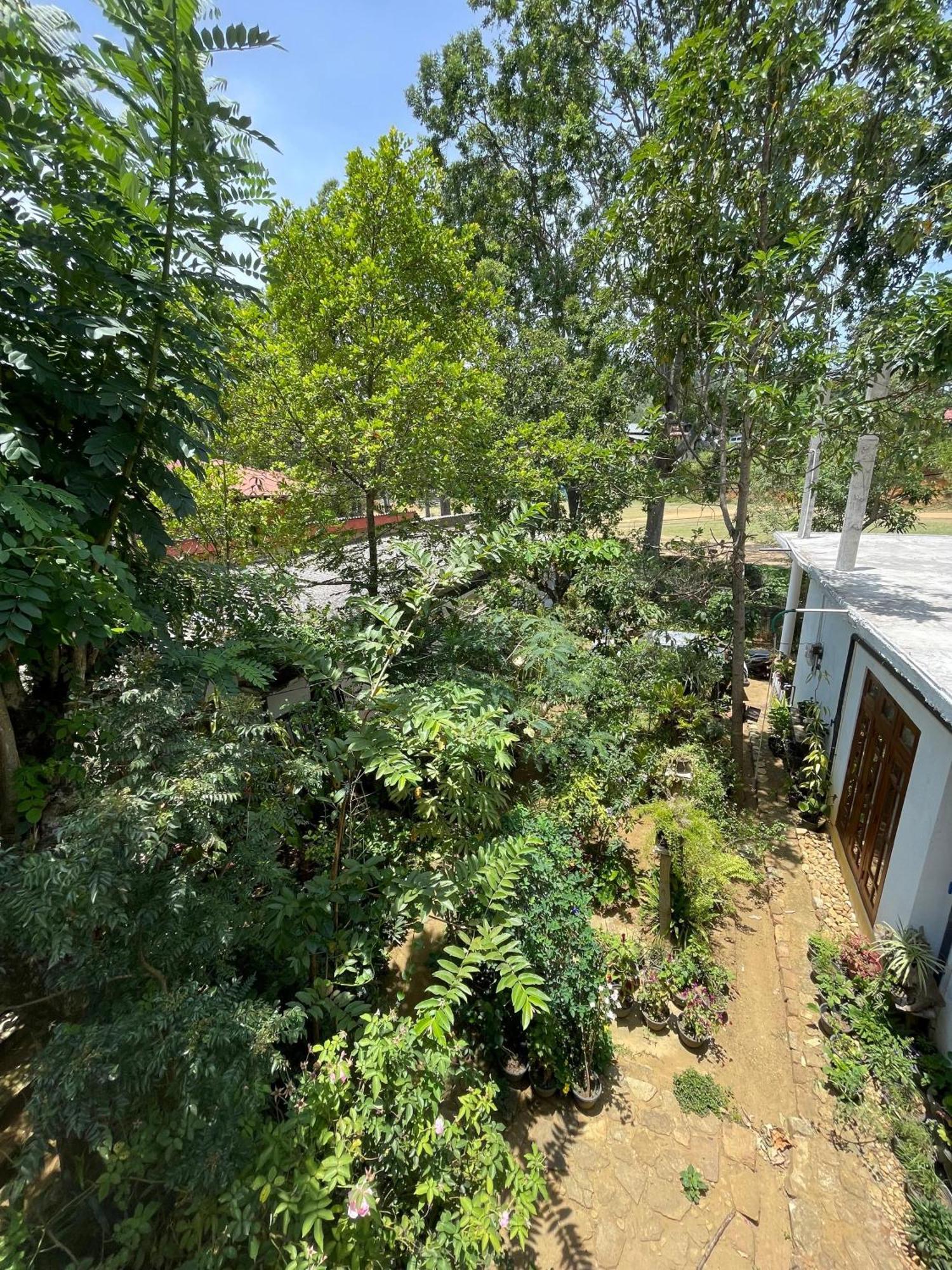 Rich Grove Inn 埃拉 外观 照片
